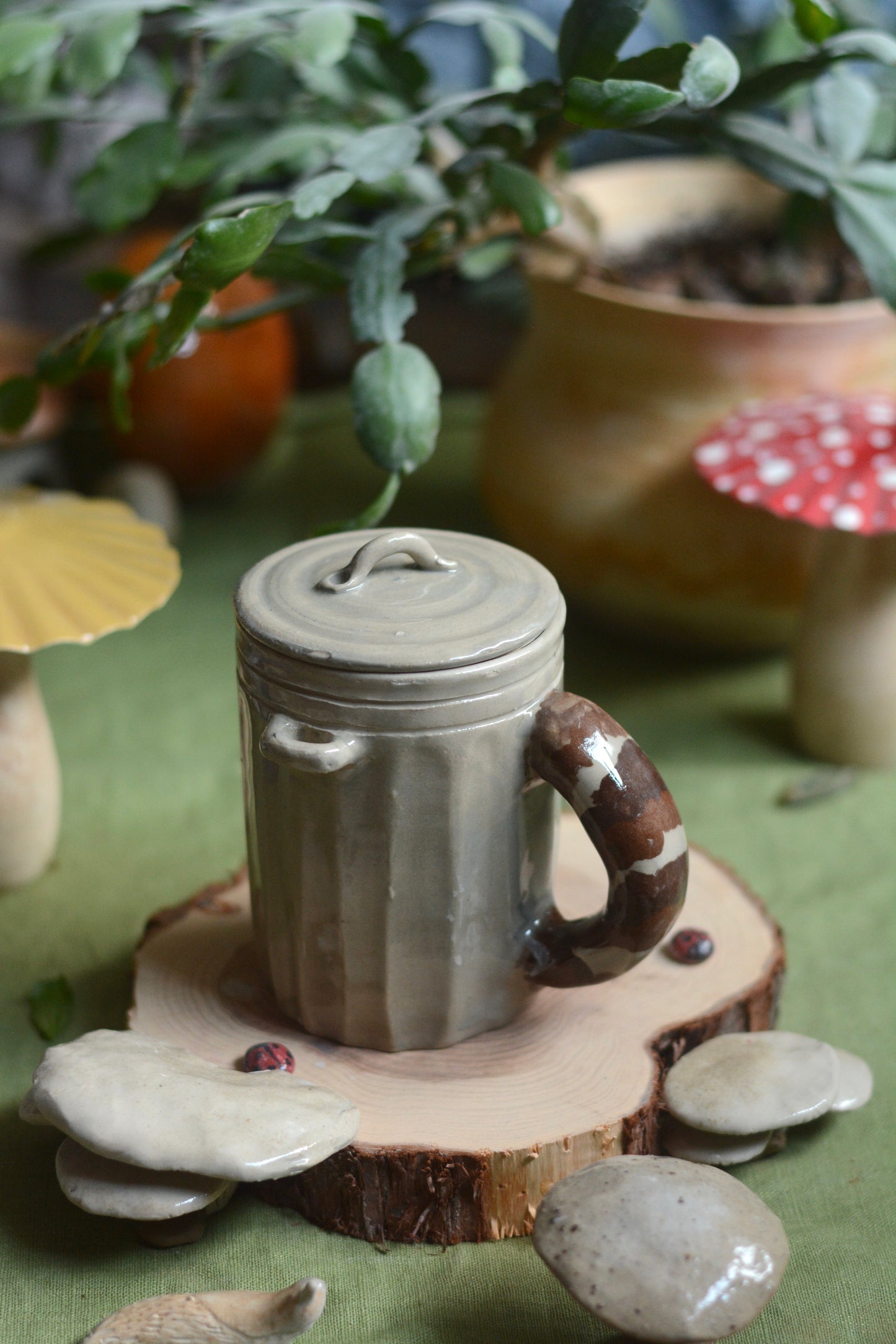 Jour 15 - Raton Laveur