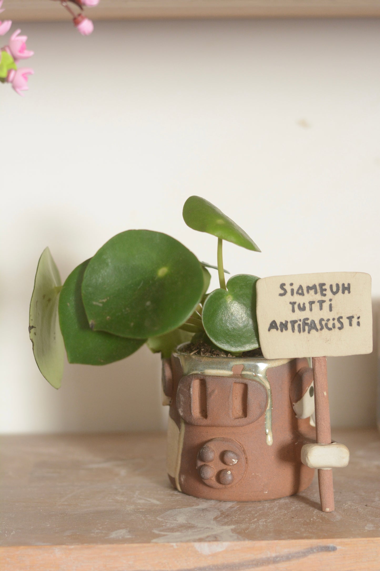 Vache vénère Siameuh tutti antifascisti