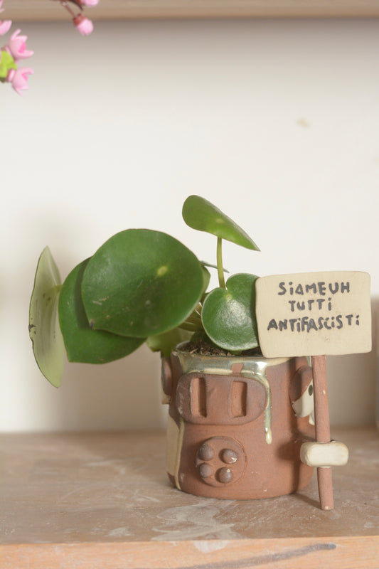 Vache vénère Siameuh tutti antifascisti