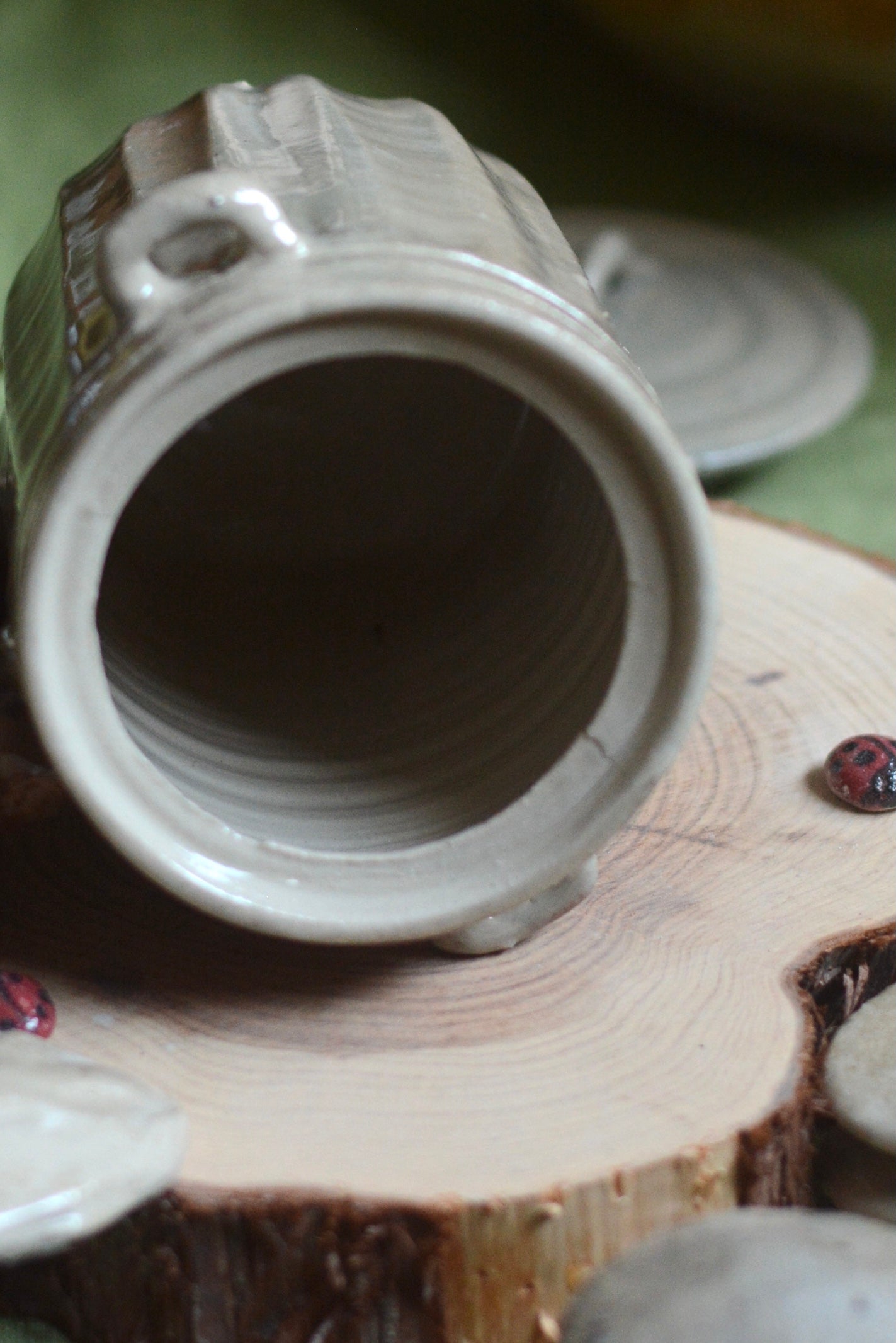 Jour 15 - Raton Laveur