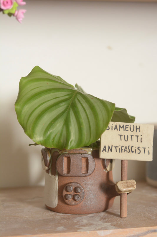Vache vénère Siameuh tutti antifascisti