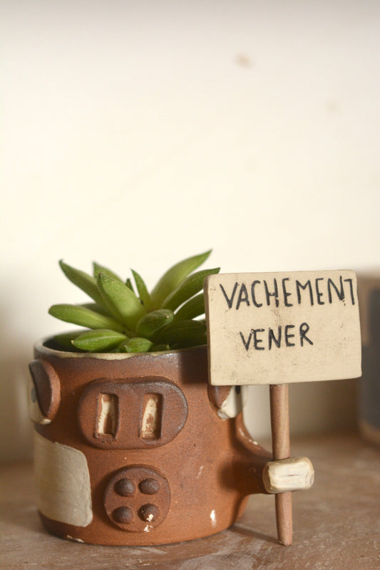 Vache vénère Vachement Vénère