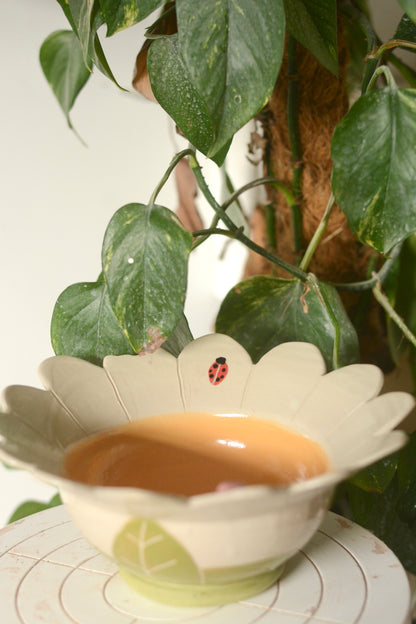 Bol à ramen marguerite et coccinelle