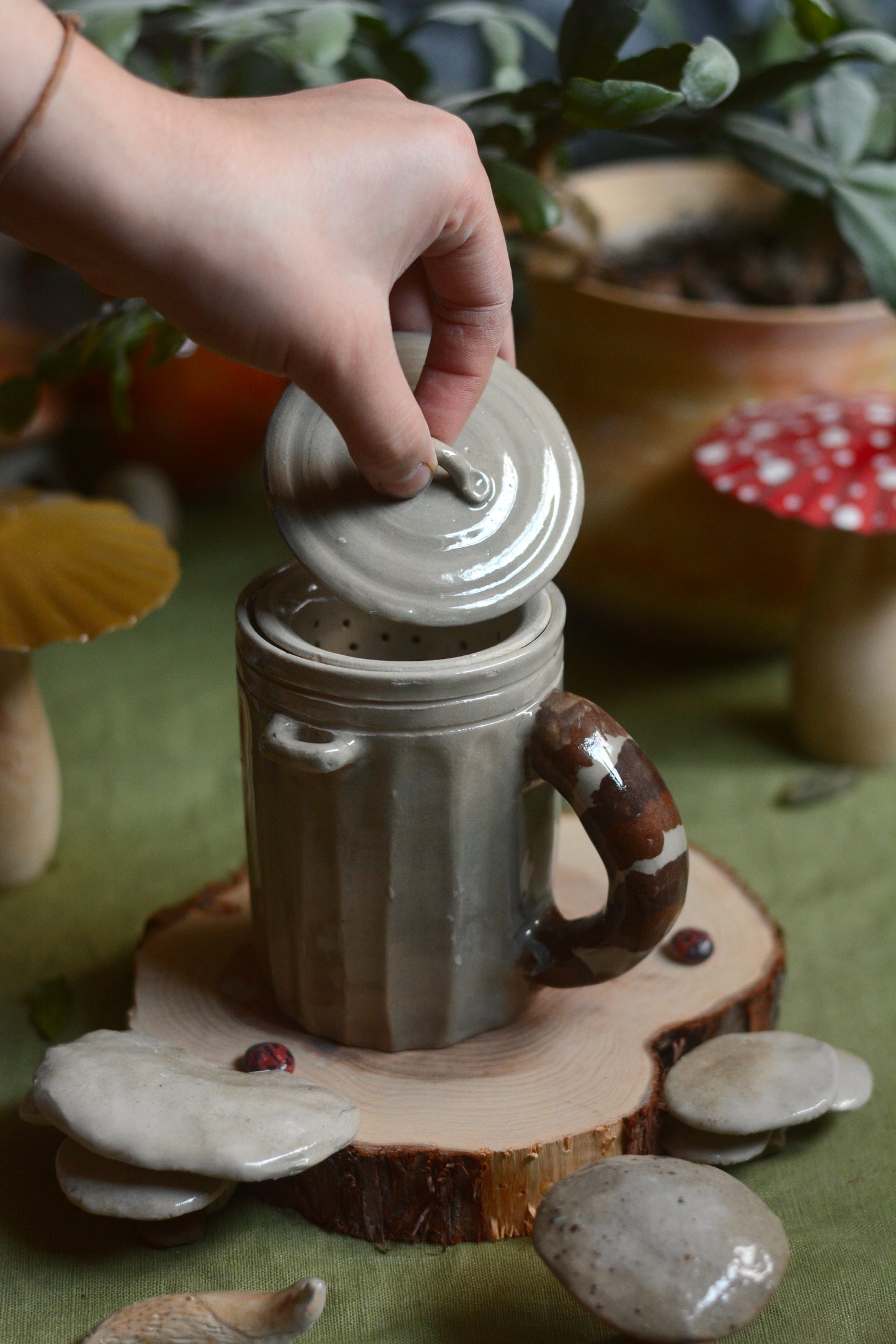 Jour 15 - Raton Laveur