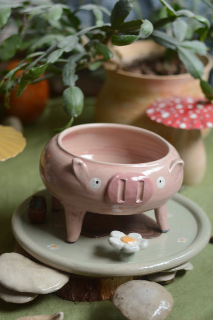Pot à plante Cochon