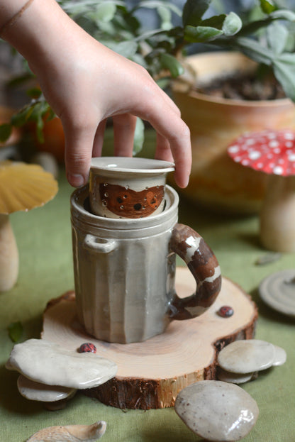 Jour 15 - Raton Laveur