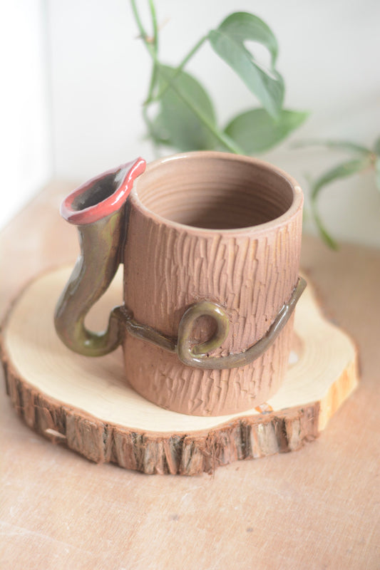 7. Plante